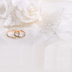 Blank CD jacket cover with doves and roses