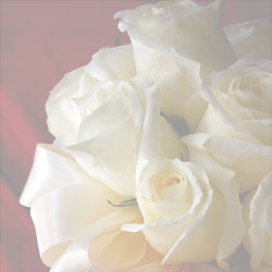 Blank CD jacket cover with doves and roses