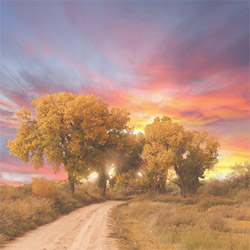 Blank CD jacket cover, Road Leading Into Sunrise