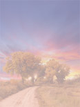 Click to see lyric sheet and CD cover