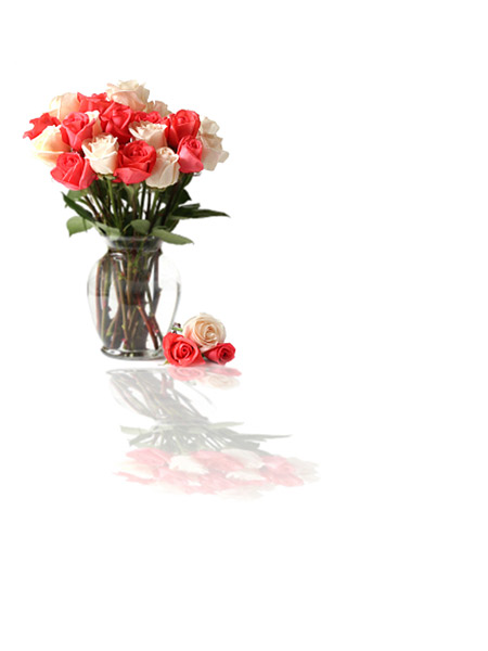 Blank lyric sheet, Roses With Reflection,